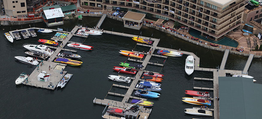 supercatfest17preview1